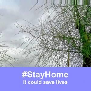 Meet your Posher, Frank